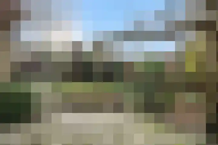 Zandstraat 25 Berlicum thumbnail 41