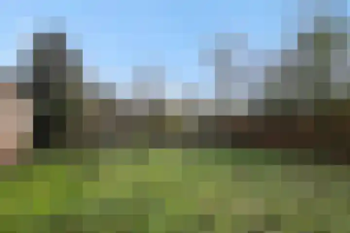 Zandstraat 25 Berlicum thumbnail 42