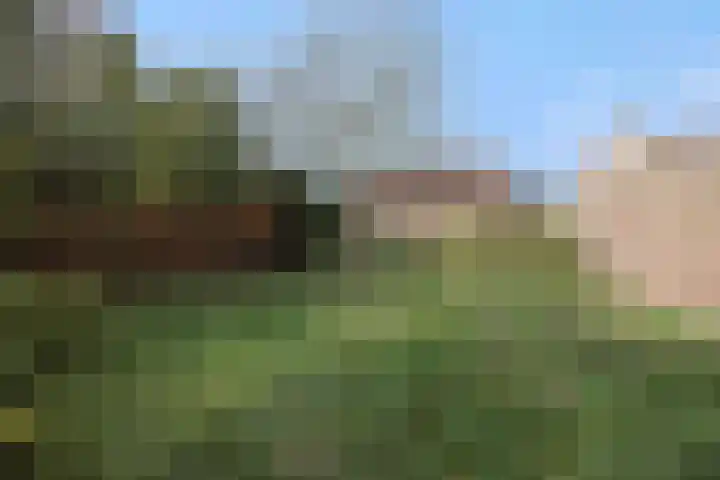 Zandstraat 25 Berlicum thumbnail 43