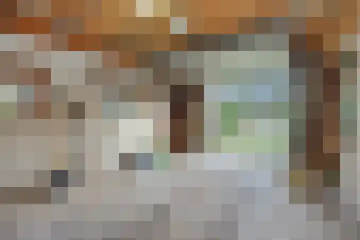 Zandstraat 25 Berlicum thumbnail 44