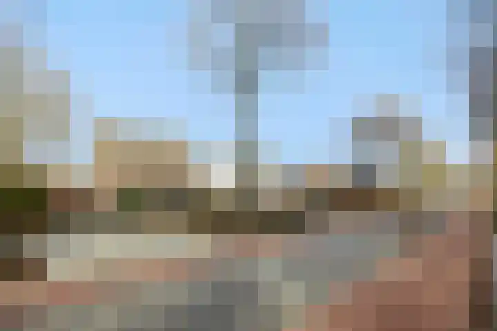 Zandstraat 25 Berlicum thumbnail 48