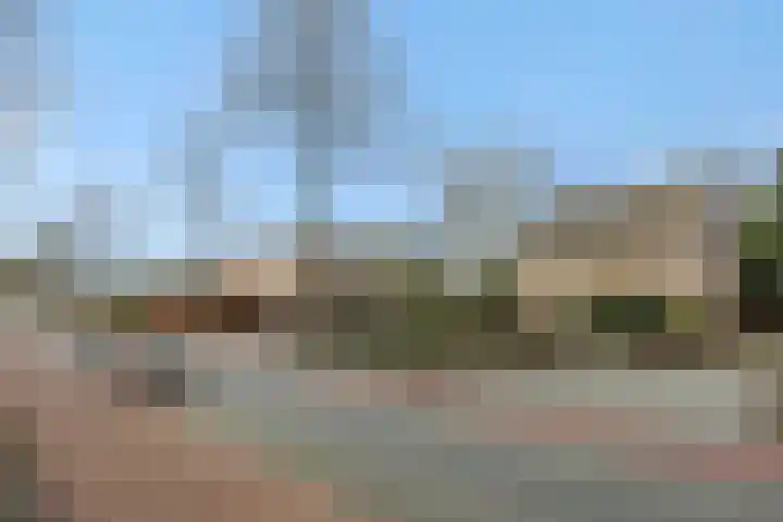 Zandstraat 25 Berlicum thumbnail 49
