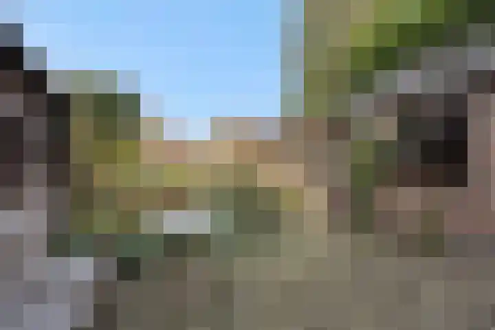 Zandstraat 25 Berlicum thumbnail 5