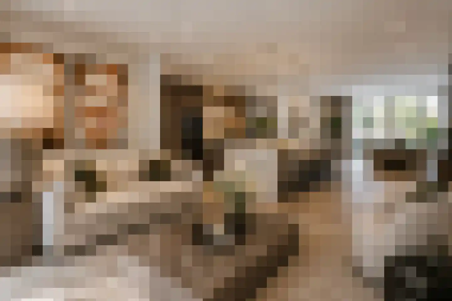 Zandstraat 25 Sint-Michielsgestel thumbnail 8
