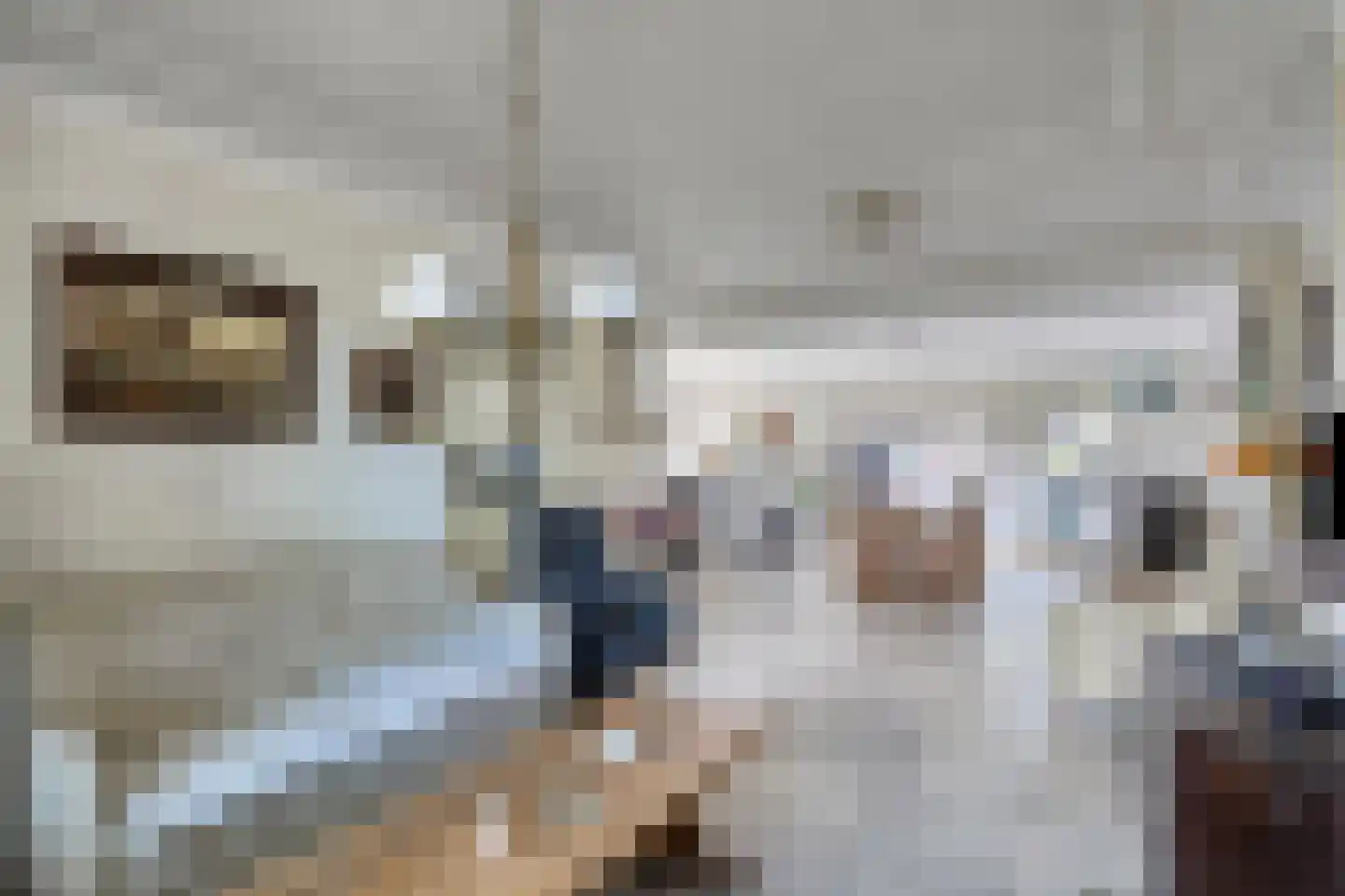 Zandstraat 25 Son en Breugel thumbnail 12