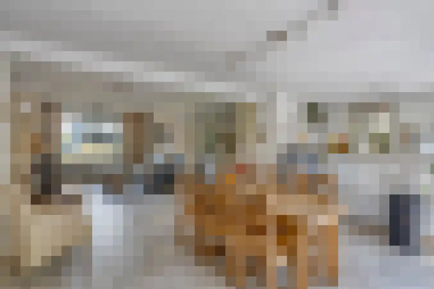 Zandstraat 25 Son en Breugel thumbnail 15