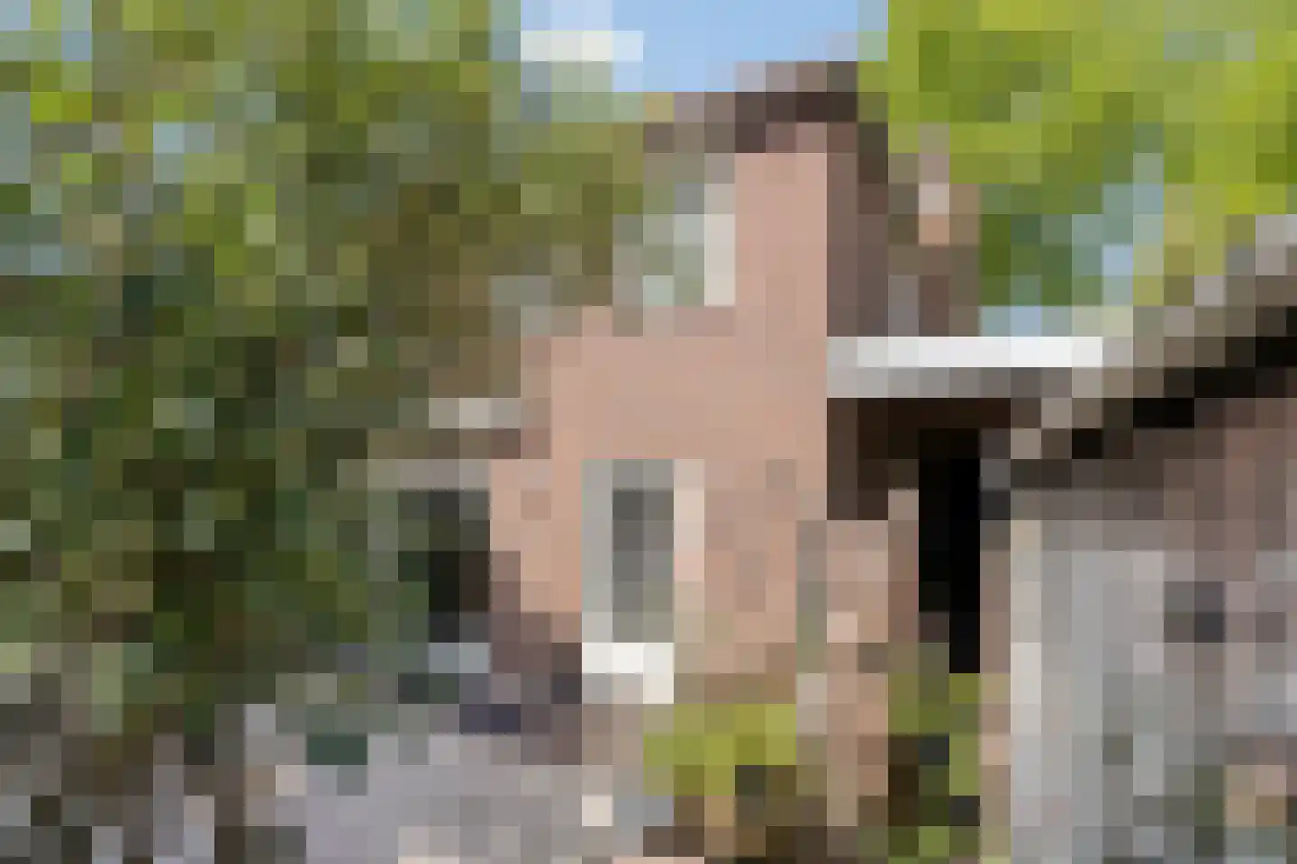 Zandstraat 25 Son en Breugel thumbnail 26