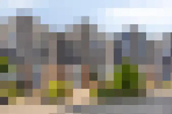 Zandstraat 257 Bergen op Zoom thumbnail 23