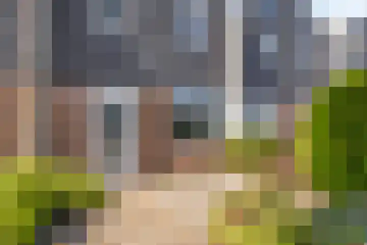 Zandstraat 257 Bergen op Zoom thumbnail 25