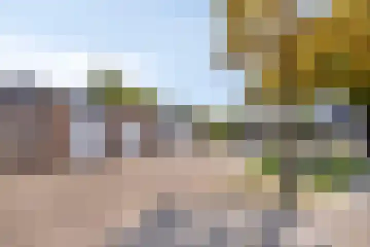Zandstraat 257 Bergen op Zoom thumbnail 6