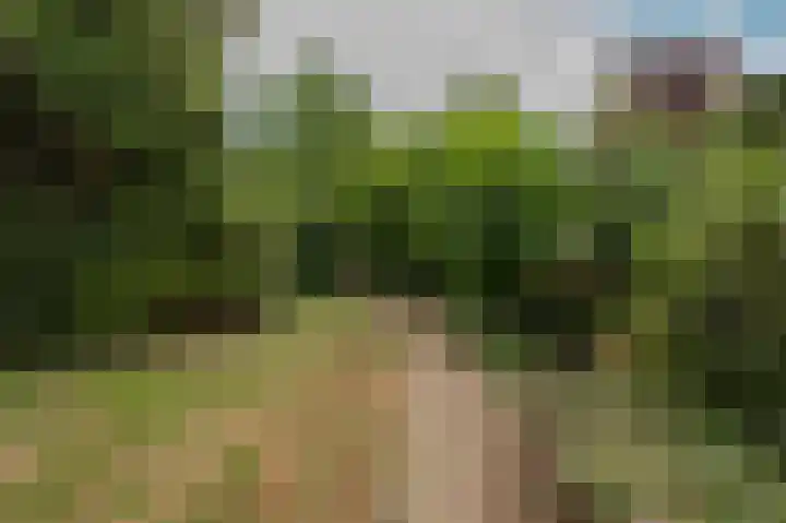 Zandstraat 26 a Opijnen thumbnail 42