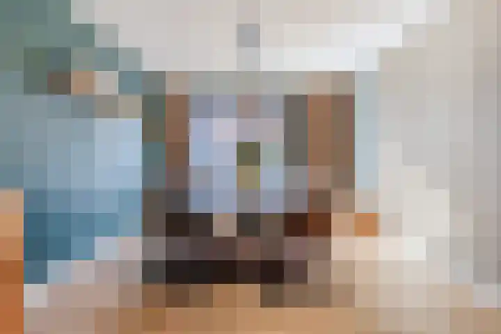 Zandstraat 27 Belfeld thumbnail 13
