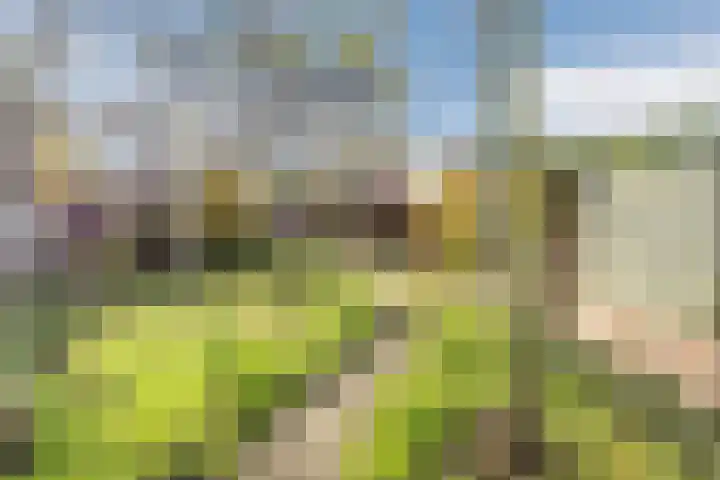 Zandstraat 27 Belfeld thumbnail 44