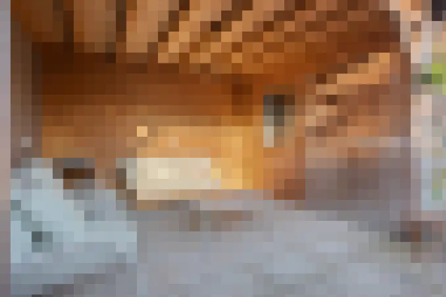 Zandstraat 27 Valkenswaard thumbnail 39