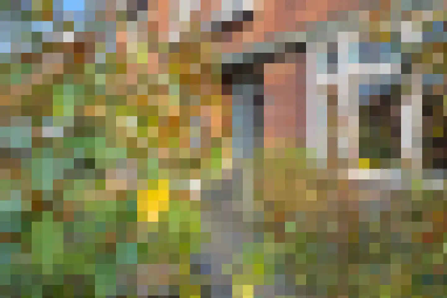 Zandstraat 27 Valkenswaard thumbnail 5
