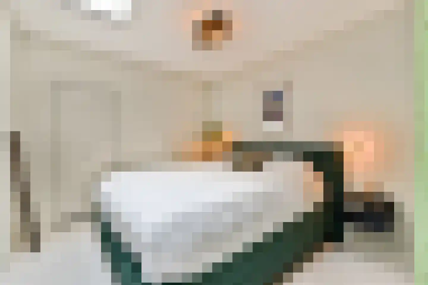 Zandstraat 28 3 Amsterdam thumbnail 12