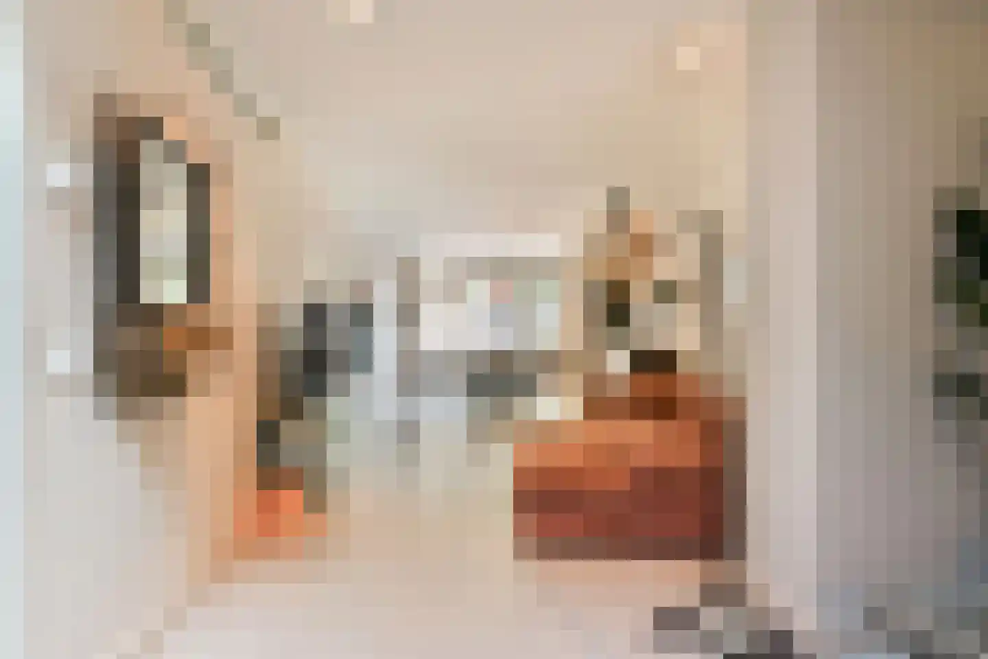 Zandstraat 28 3 Amsterdam thumbnail 17