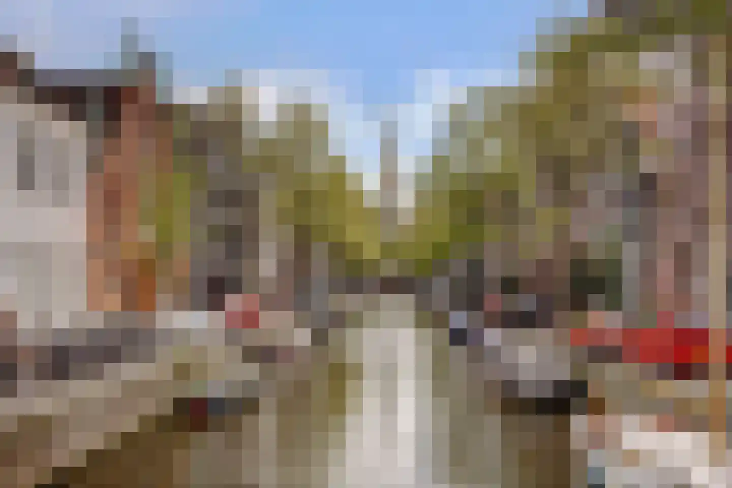 Zandstraat 28 3 Amsterdam thumbnail 21