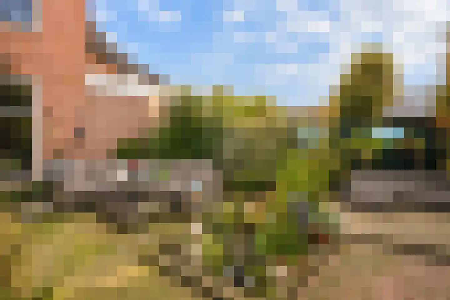 Zandstraat 29 Zaltbommel thumbnail 51