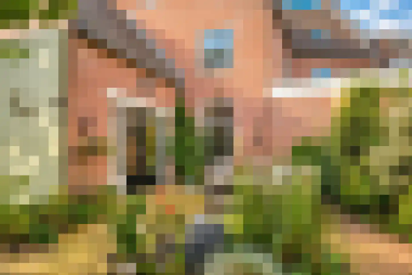 Zandstraat 29 Zaltbommel thumbnail 53