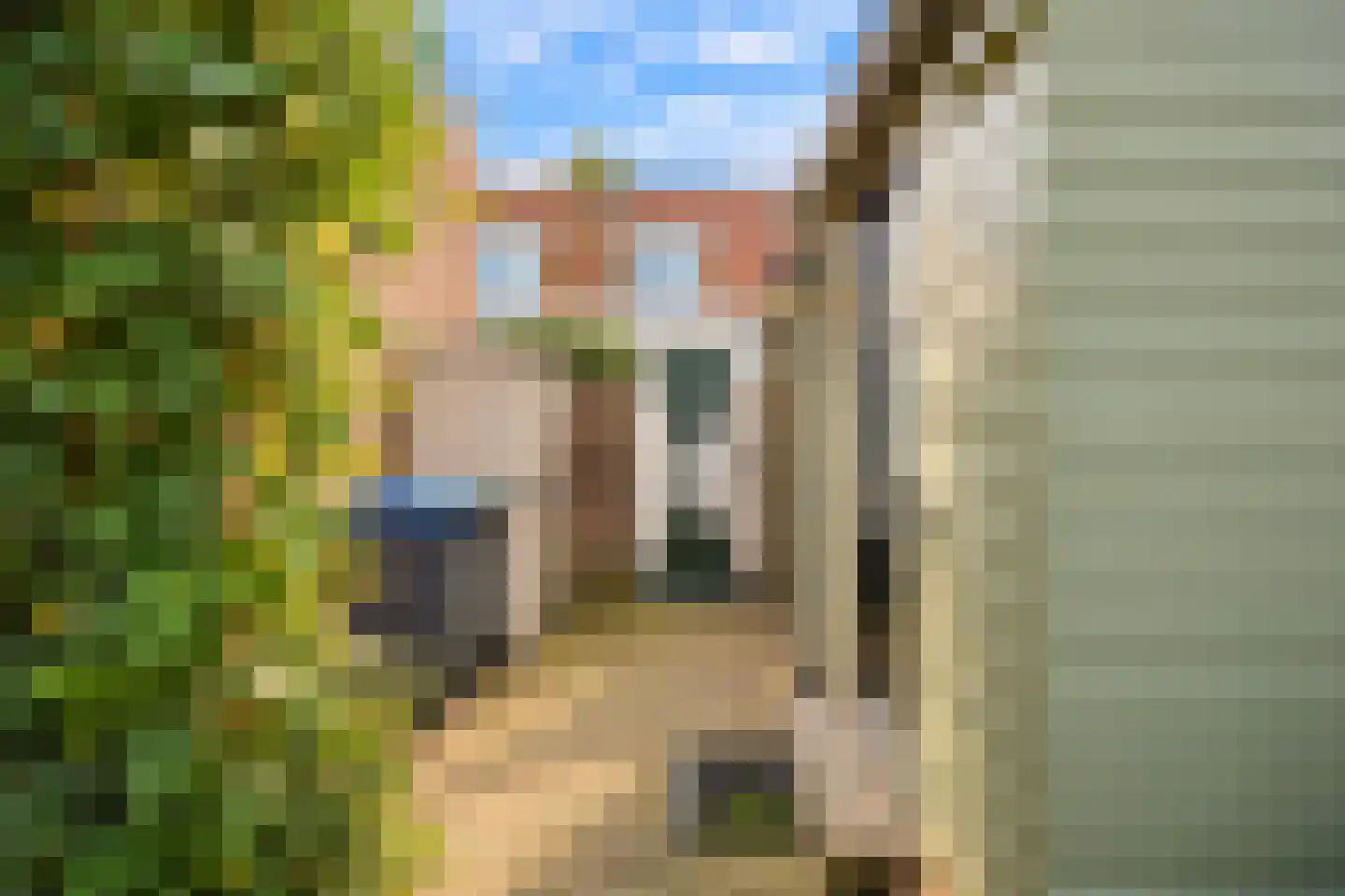 Zandstraat 29 Zaltbommel thumbnail 55