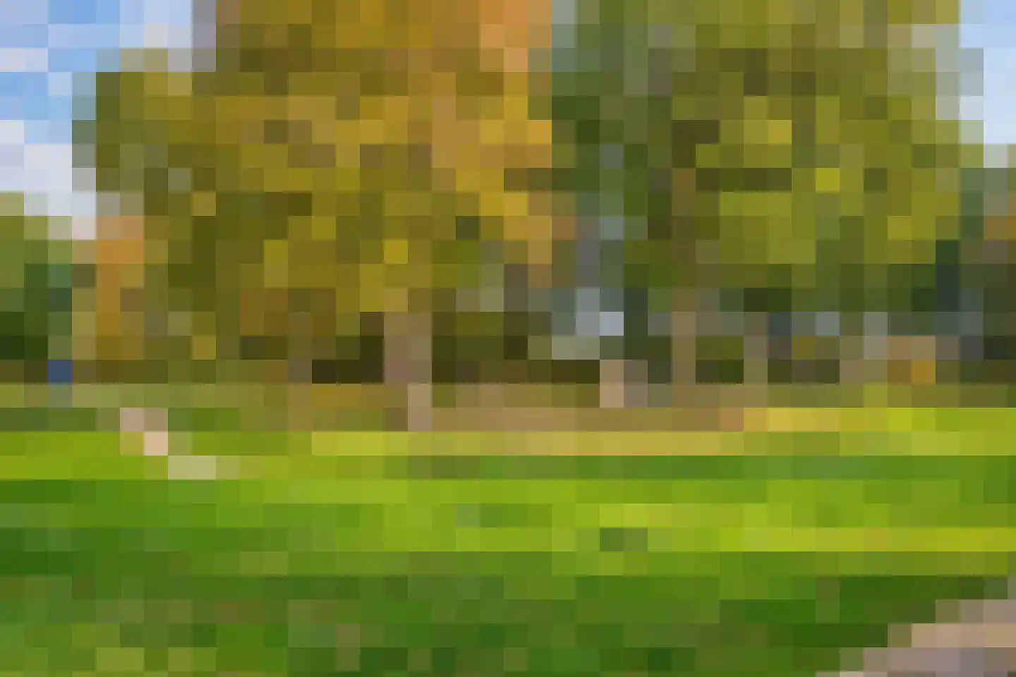 Zandstraat 29 Zaltbommel thumbnail 61