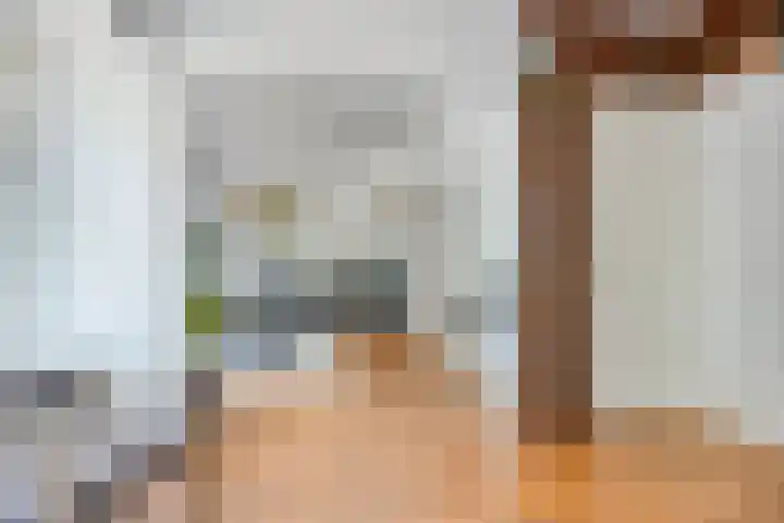 Zandstraat 3 Bis Veenendaal thumbnail 12