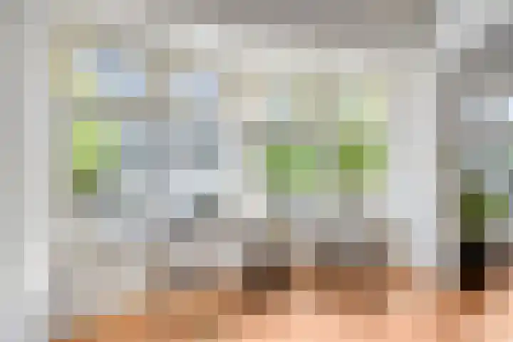 Zandstraat 3 Bis Veenendaal thumbnail 13