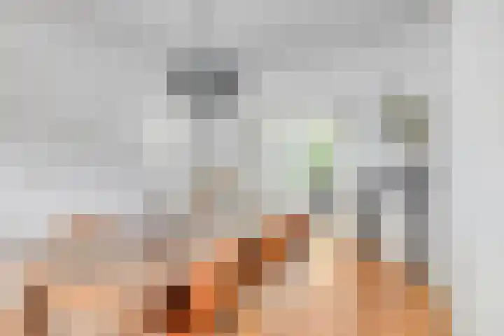 Zandstraat 3 Bis Veenendaal thumbnail 16