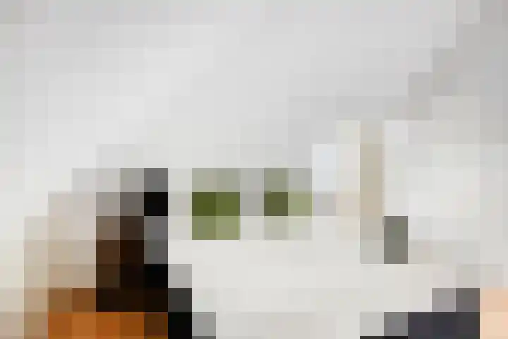 Zandstraat 3 Bis Veenendaal thumbnail 25