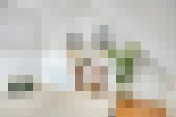 Zandstraat 3 Bis Veenendaal thumbnail 26