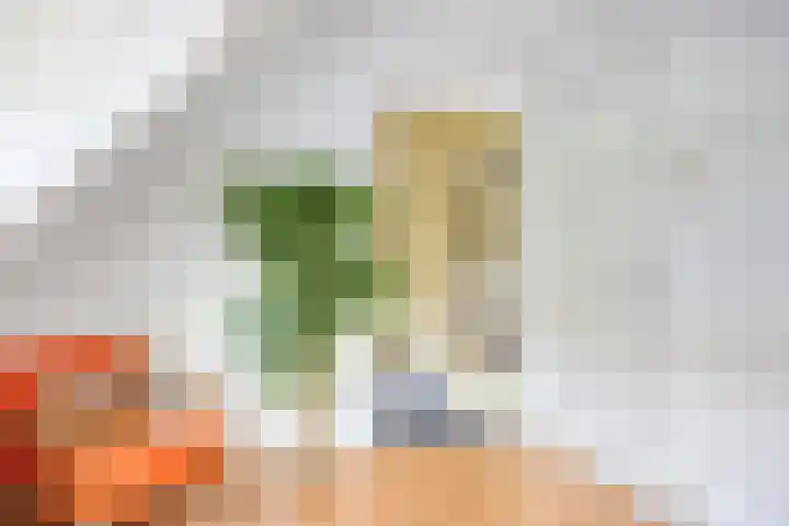 Zandstraat 3 Bis Veenendaal thumbnail 28