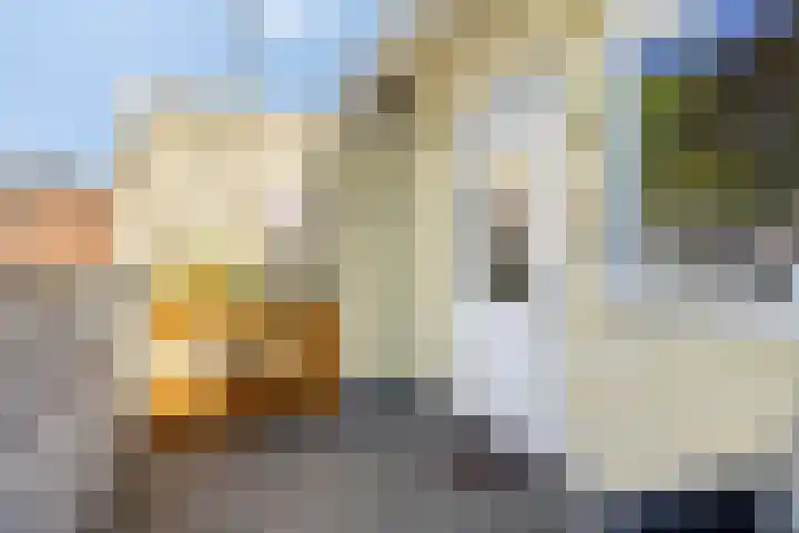 Zandstraat 3 Bis Veenendaal thumbnail 34
