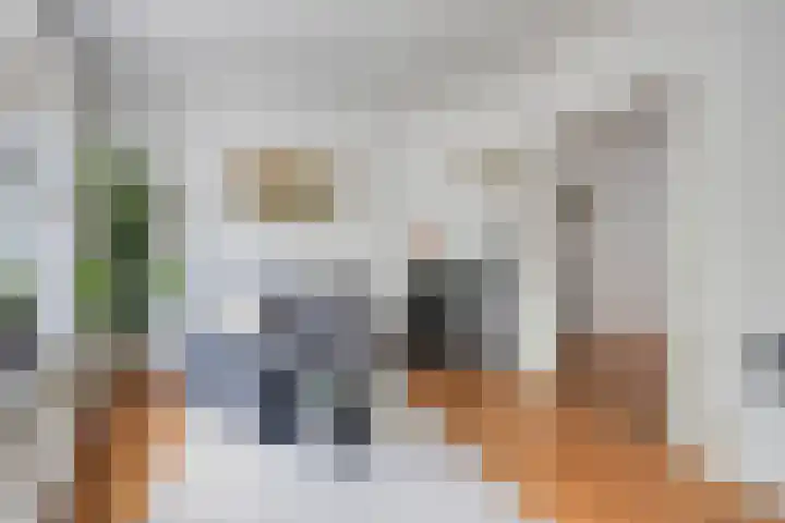 Zandstraat 3 Bis Veenendaal thumbnail 8