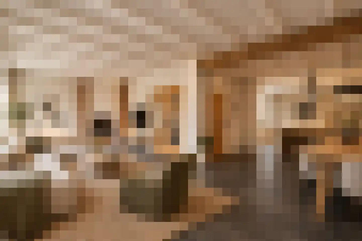 Zandstraat 3 Spaubeek thumbnail 8