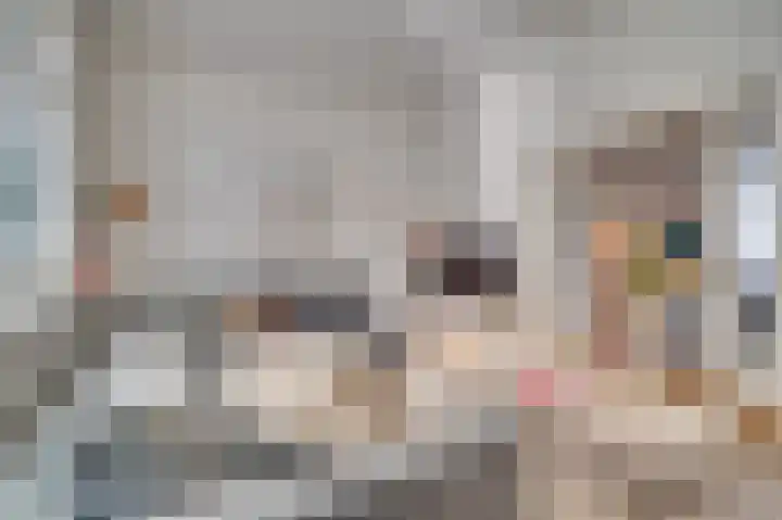 Zandstraat 3 Venlo thumbnail 10