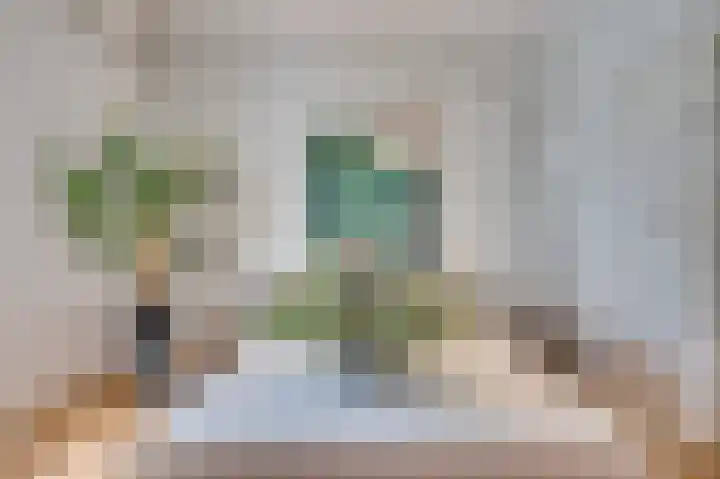 Zandstraat 3 Venlo thumbnail 15