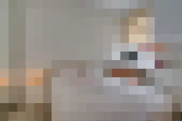 Zandstraat 3 Venlo thumbnail 27