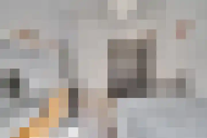Zandstraat 3 Venlo thumbnail 31