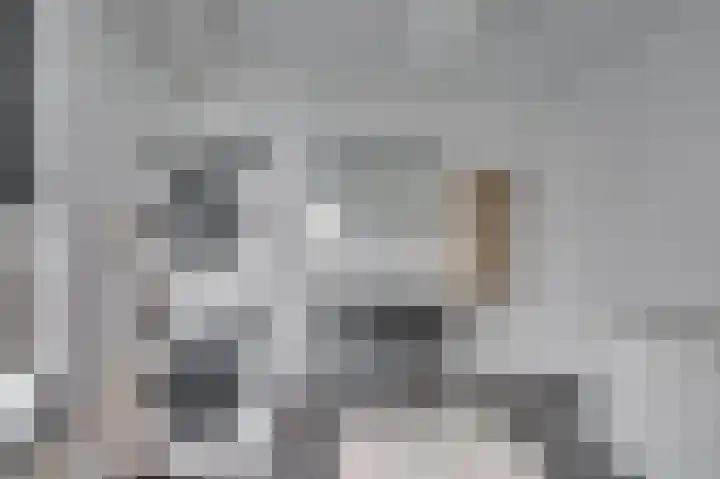 Zandstraat 3 Venlo thumbnail 39