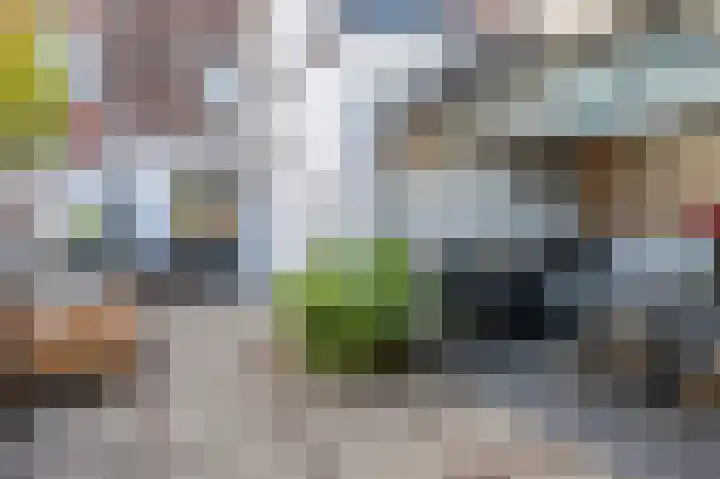 Zandstraat 3 Venlo thumbnail 49