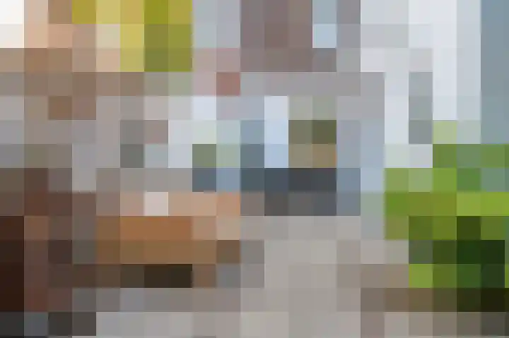 Zandstraat 3 Venlo thumbnail 50