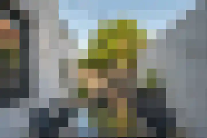 Zandstraat 3 Venlo thumbnail 55