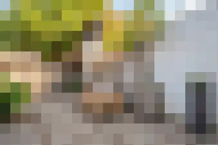 Zandstraat 3 Venlo thumbnail 56