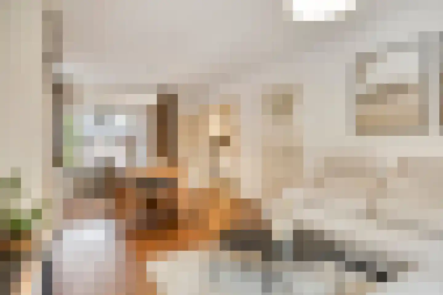 Zandstraat 30 Eindhoven thumbnail 9