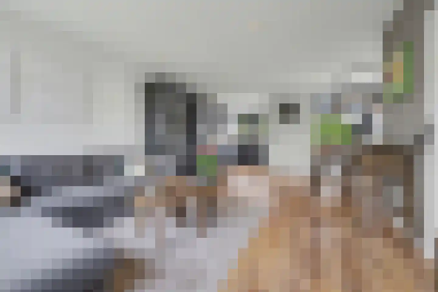 Zandstraat 31 Casteren thumbnail 10