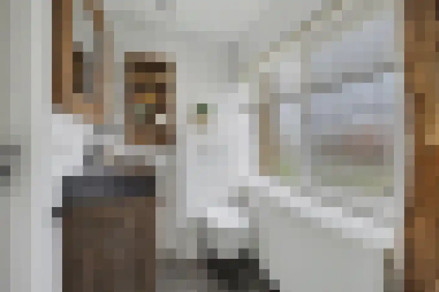 Zandstraat 31 Casteren thumbnail 25