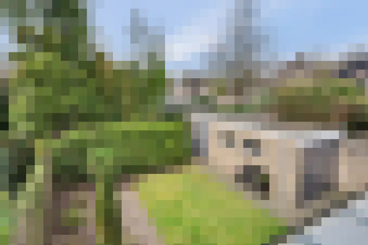 Zandstraat 31 Casteren thumbnail 35