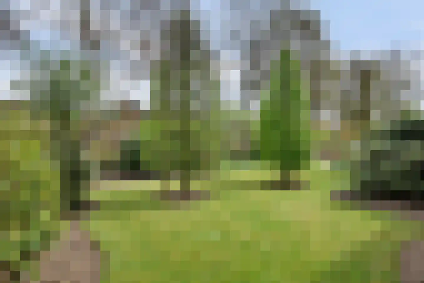 Zandstraat 31 Casteren thumbnail 45