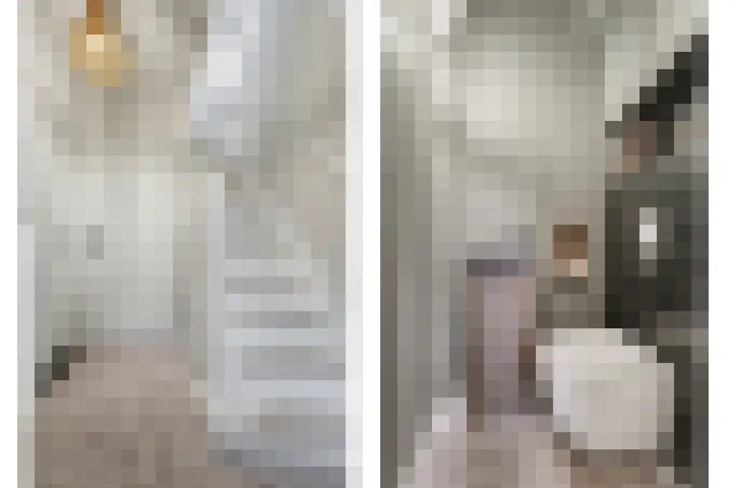 Zandstraat 31 Casteren thumbnail 5